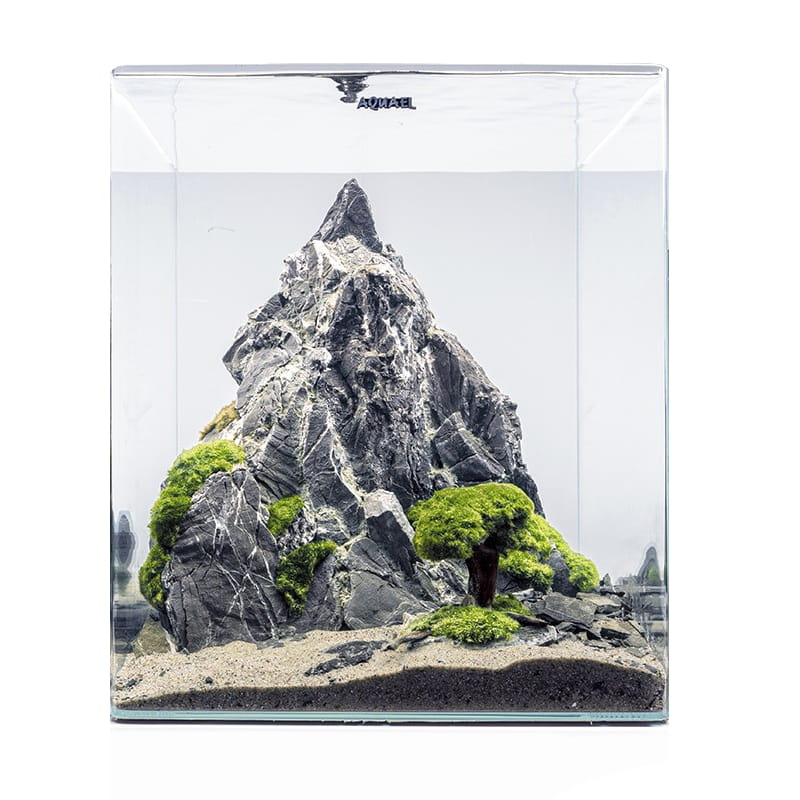rounded  viev.jpg